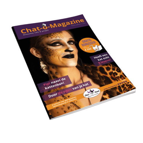 Chat-o-Magazine 2 _ mock-up